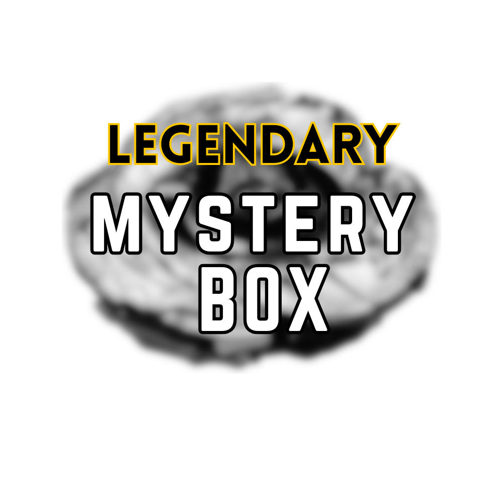 Beyblade LEGENDARY Mystery Box